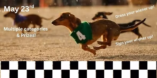 1st annual Wiener Races 
