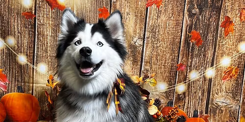 Fall Wooden Framed Photoshoot