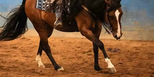 Ranch Riding Horse Shows #3