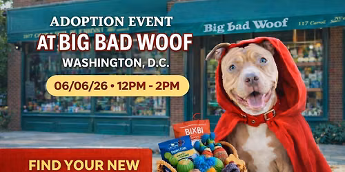 Not So Big, Not So Bad\u2026 Just Adopt-A-Bull! Adoption Event