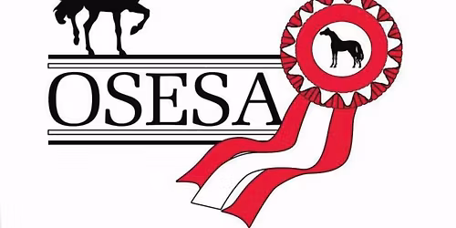 OSESA Summer Celebration AMHR\/ASPC\/OPEN