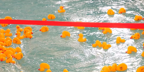 2nd Annual YMCA Make a Splash