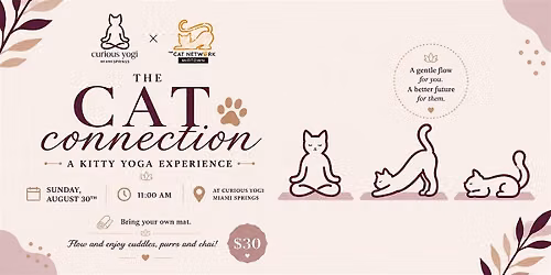 The Cat Connection: Kitty Yoga