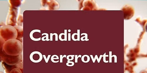 Candida Overgrowth, with Catalyst Wellness
