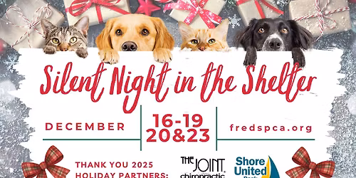 Silent Night in the Shelter