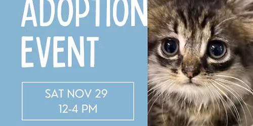 11\/29 Adoption Event at Petco Harrison Crossing