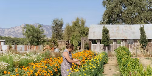 Pick Your Own Bouquet