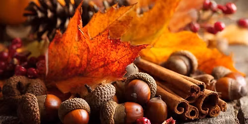 Fall Craft Festival 