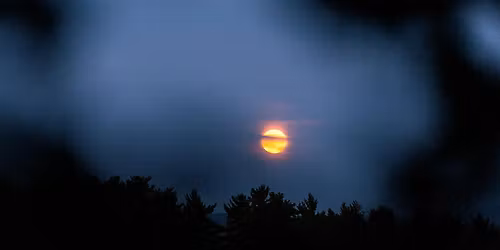 Full Moon Winter Forest Bathing: shinrin-yoku