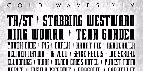 Cold Waves XIV Chicago - 3 Day Pass