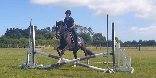 Show Jumping Competition