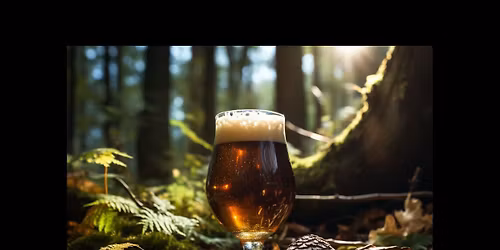 Nature on Tap - A Maryland Turt-orial: Quick Guide to Slow Strollers