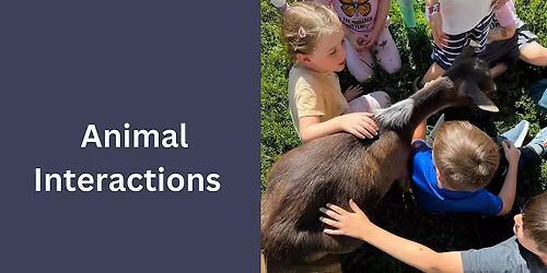 Animal Interactions