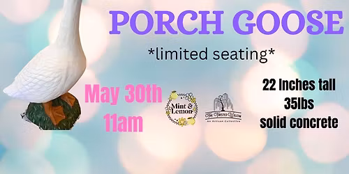 Concrete Porch Goose Painting 5\/30\/26