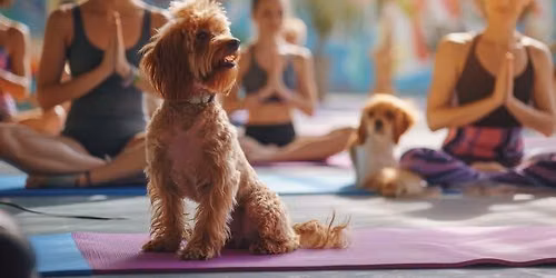 Puppies & Yoga