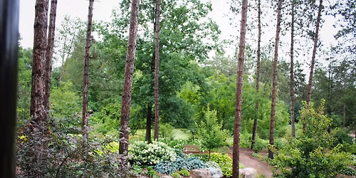 Monday@Monk: Pollinator-Friendly Garden Cleanup with Ms. Pat