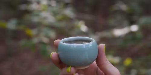 In Bloom Yoga at Cha House: Slow Flow