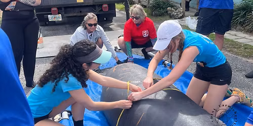 New Year\u2019s Crystal at Oceana Theater