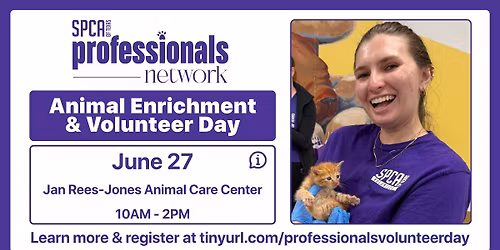 Professional Network Volunteer Day