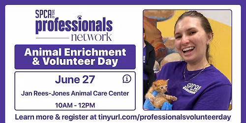 Professional Network Volunteer Day