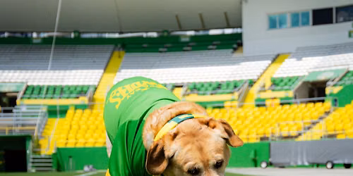 Rowdies vs Detroit City FC | Ruff n Rowdies Night 