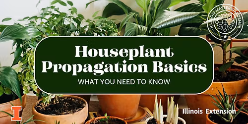 Houseplant Propagation | Belvidere