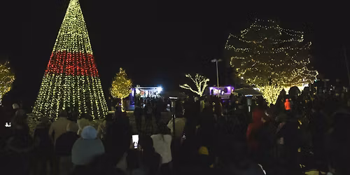 Christmas Tree Lighting