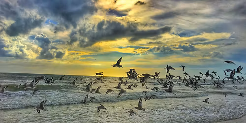 Winter Birding Boat Tour