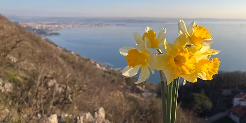 Pasquetta da Verginella
