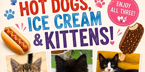 Hotdog, Ice Cream & Kitten Meet & Greet