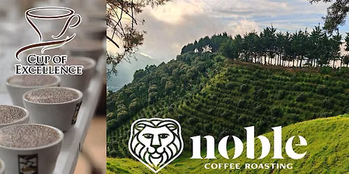 Cup of Excellence Public Cupping - 2026 Honduras Winners