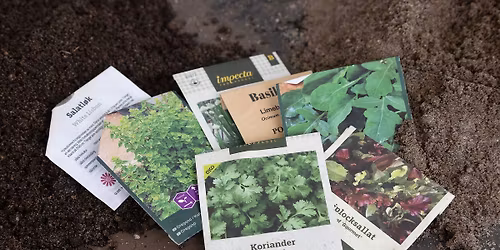 S\u00e5kveld med fr\u00f8bytte