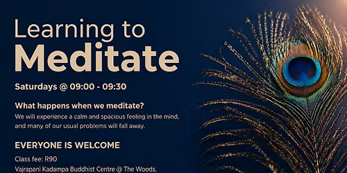Learning to Meditate Class with John Vlismas