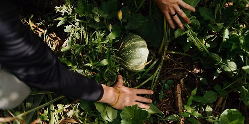 Conf\u00e9rence : Cultiver le langage : traduction, agriculture et for\u00eat