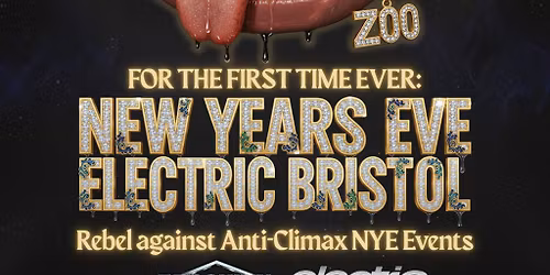 Brooklyn Zoo - New Year's Eve, Bristol 2025
