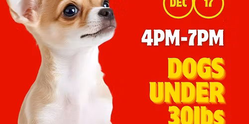 Small Dog Night at Saint Bark