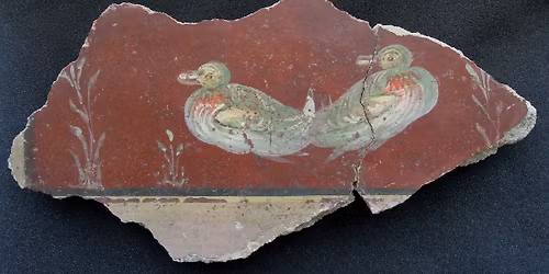 \u010civki iz preteklosti: Razko\u0161na barvitost rimske Celeje