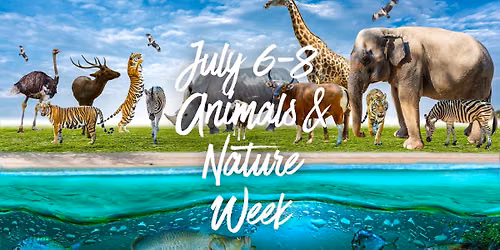 Fearless Summer Camp: Animals & Nature Week