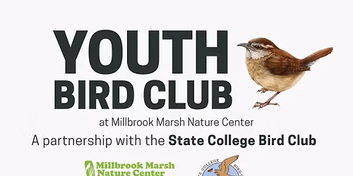  Youth Bird Club at Millbrook Marsh