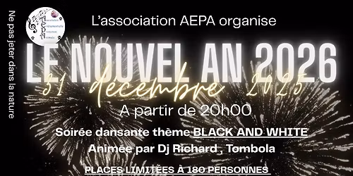 Nouvel an 2026 \ud83c\udf1f