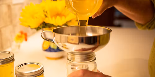 A Bee Bit of Sweetness