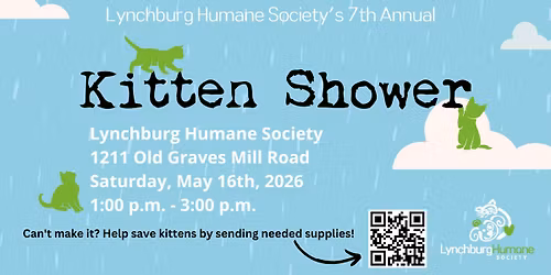 Kitten Shower!