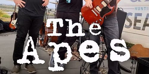 The Apes at Beach City Provisions