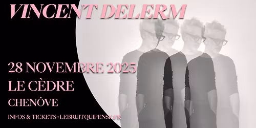 Vincent Delerm - Le C\u00e8dre - Chenove 