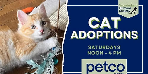 Cat Adoptions at Petco with Wonderland Humane Society