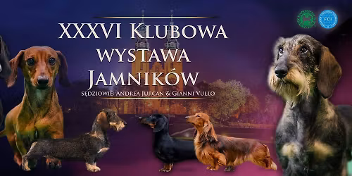 XXXVI Klubowa Wystawa Jamnik\u00f3w Pozna\u0144 2025\/ XXXVI Dachshunds Club Show Pozna\u0144 2025