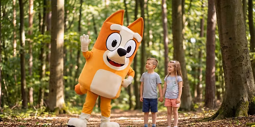 Poh\u00e1dkov\u00e1 stezka ve \u0160ternberku