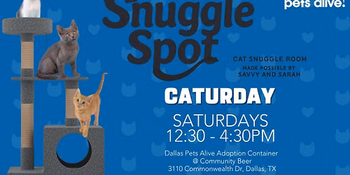 Caturday at the Snuggle Spot