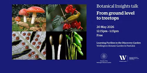 Botanical Insights talk - From Ground Level to Treetops
