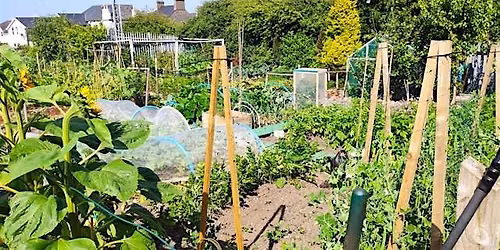 Community Garden Walk with Neighborhood Gardens Trust